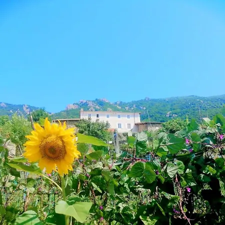 Les De La Ferme De Chalas * Valgorge