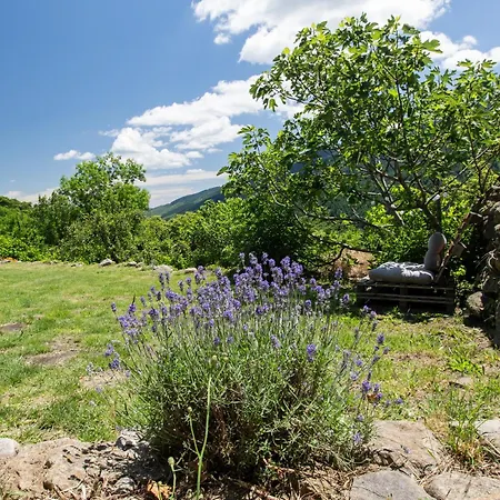 Les De La Ferme De Chalas Villa Valgorge