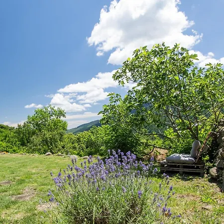 Villa Les De La Ferme De Chalas *