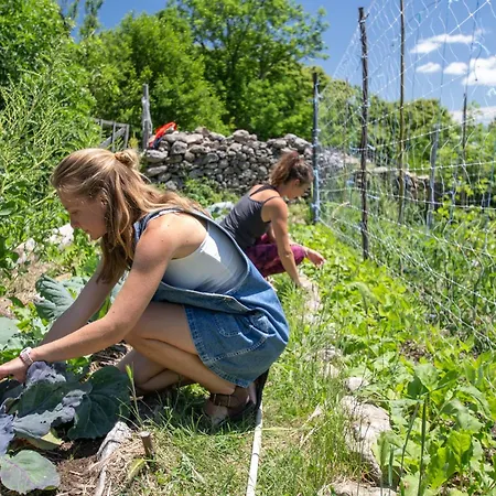Les De La Ferme De Chalas * Valgorge